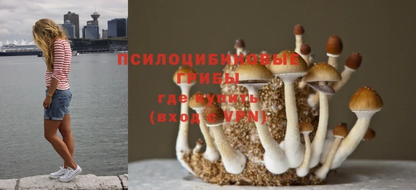 а пвп мука Осташков
