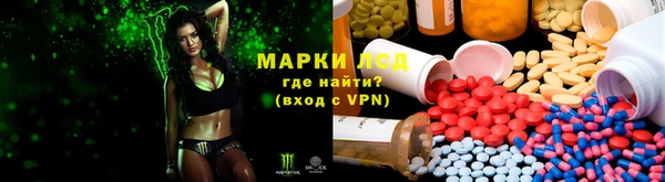 стафф Аркадак
