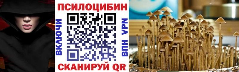 Галлюциногенные грибы Psilocybe  даркнет сайт  Ишим 